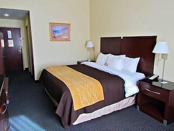 Hotel Comfort & Ftjackson Maingate