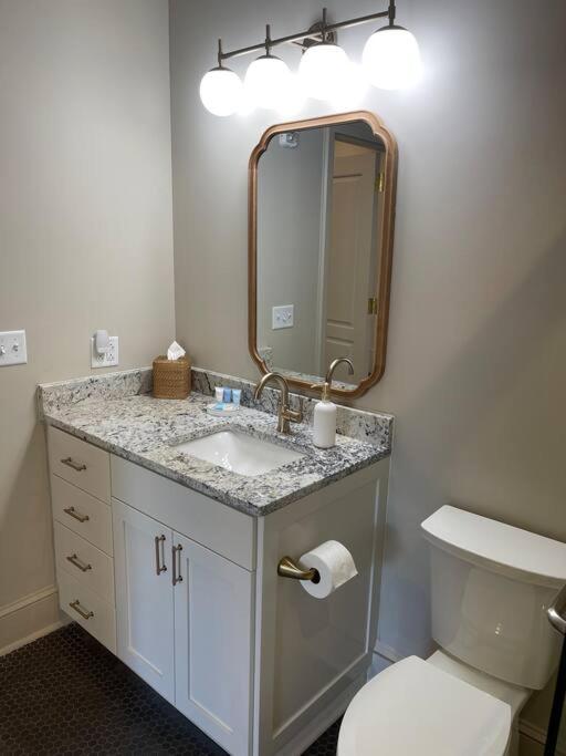 Urban Oasis - Downtown Columbia-newly Renovated Apartment *
