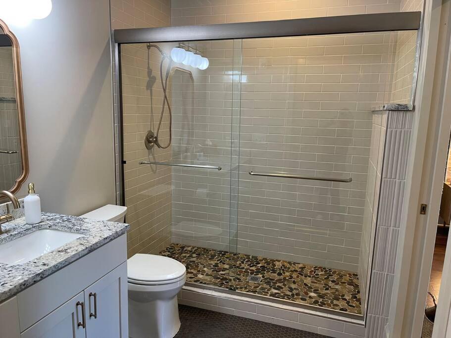 Urban Oasis - Downtown Columbia-newly Renovated