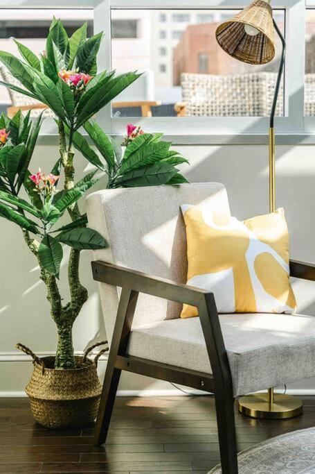 Urban Oasis W/sunroom-downtown Apartment Columbia