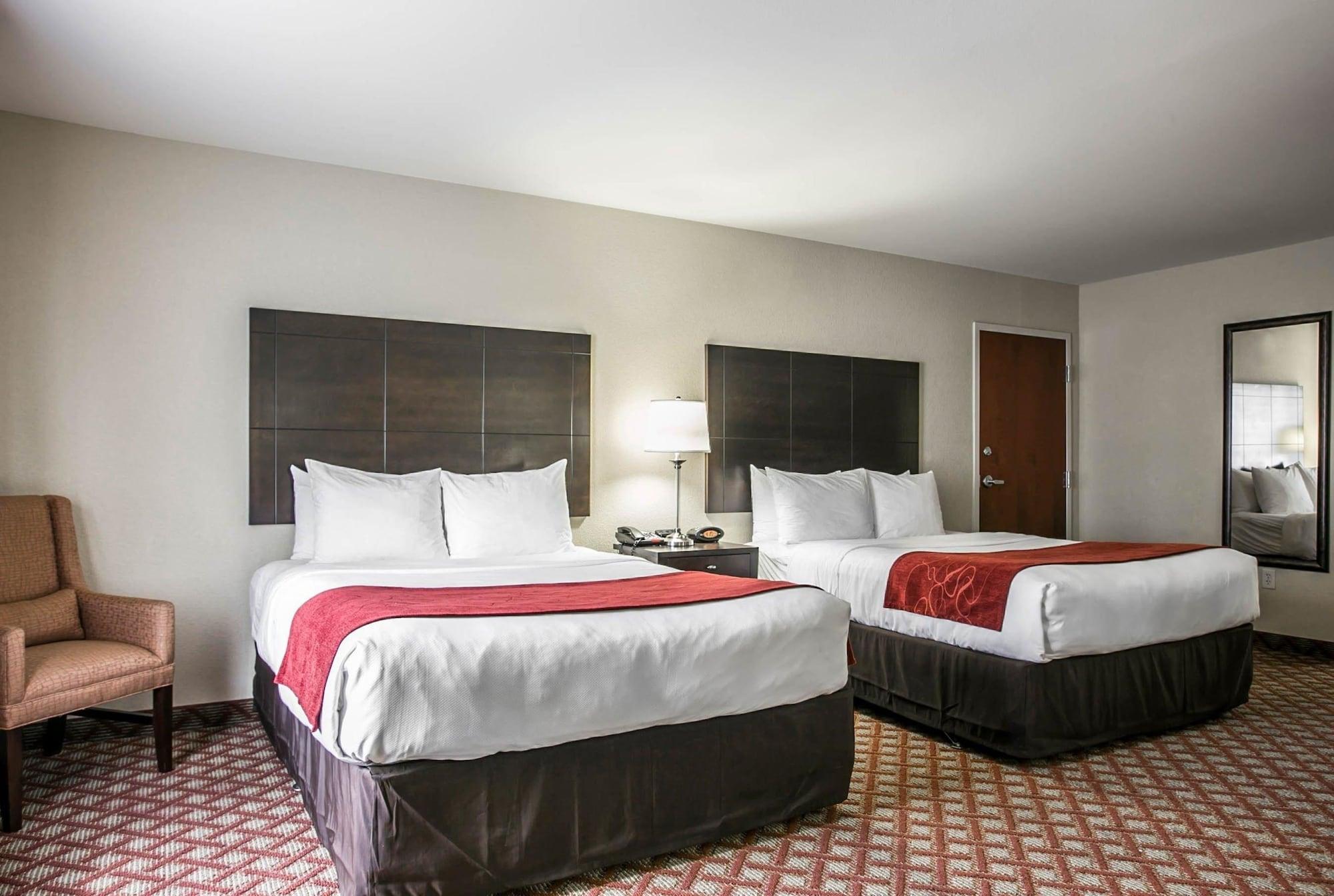 Comfort Northeast - Jackson Columbia