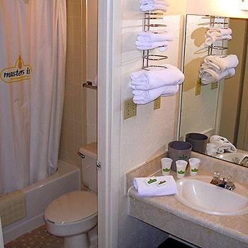6 - University Of South Carolina Hotel Columbia