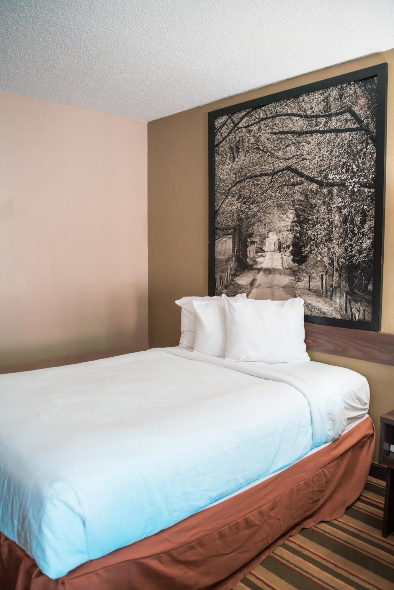 Super 8 By Wyndham Columbia/ft. Jackson Sc Motel