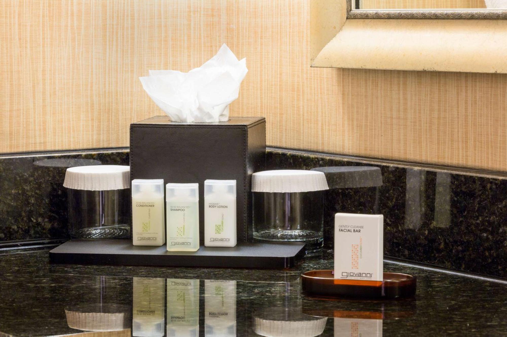 Embassy By Hilton Greystone Hotel 4*