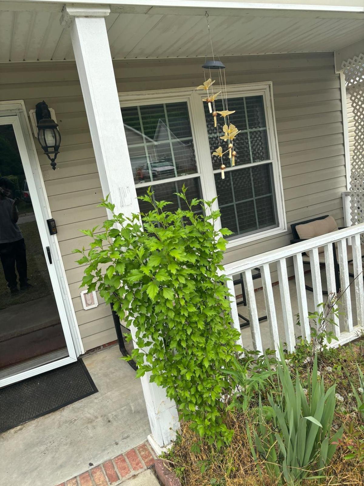 Right Fit 3bd 2bth Holiday home *