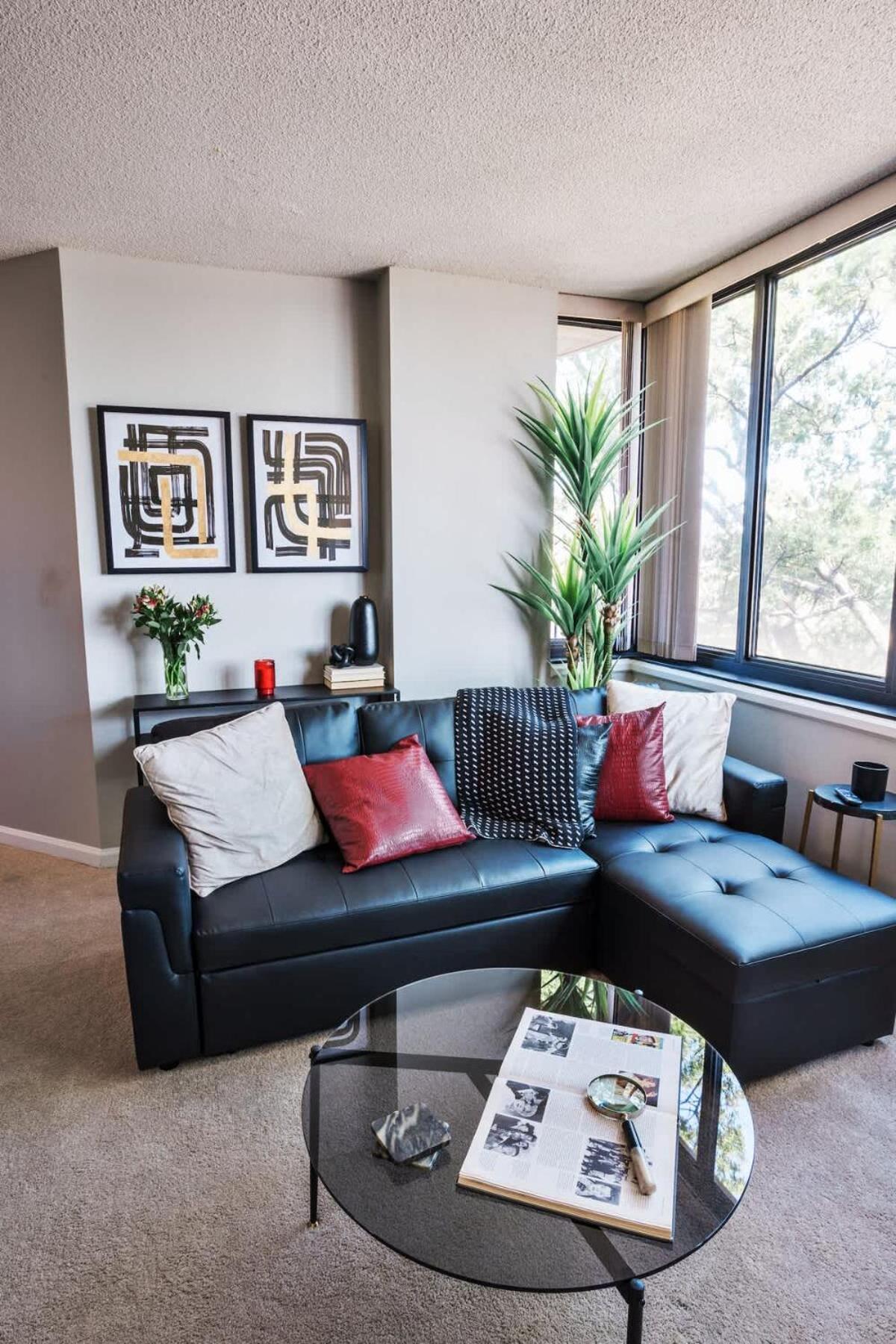 Modern Closest To The Of Sc Apartment Columbia