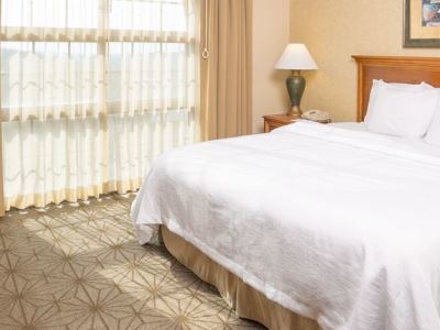 Hotel Embassy By Hilton Greystone Columbia