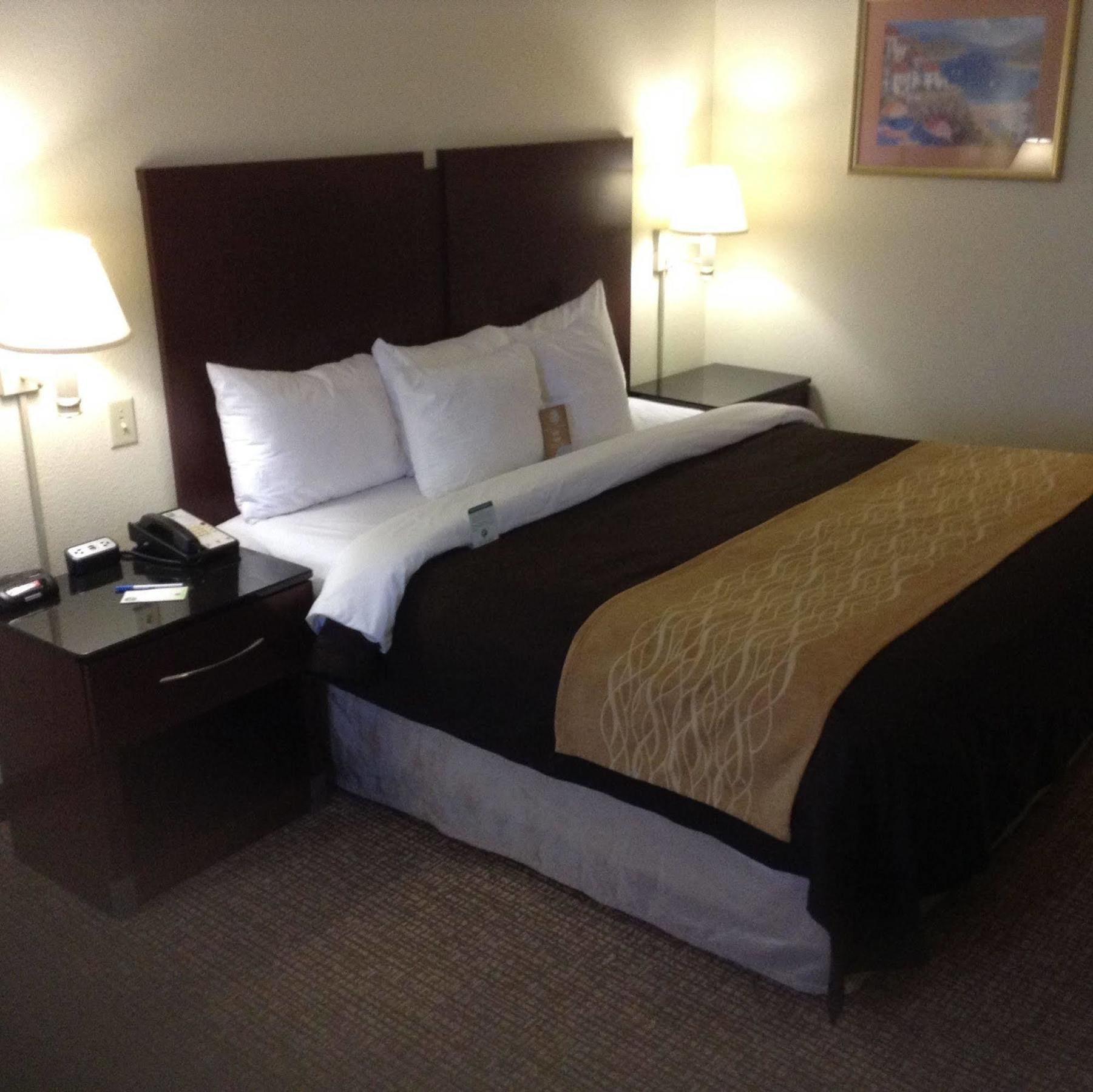 Comfort & Ftjackson Maingate Hotel 3*