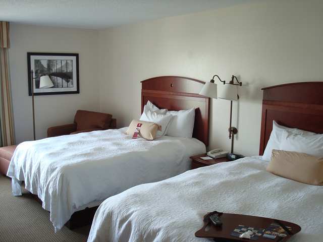 Hampton Northeast-fort Jackson Area Hotel